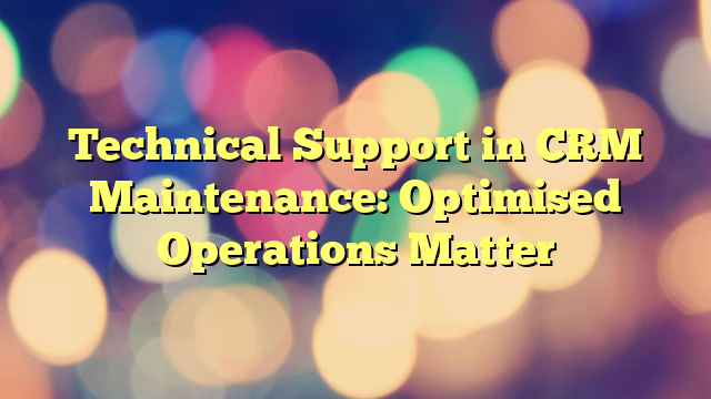 Technical Support in CRM Maintenance: Optimised Operations Matter